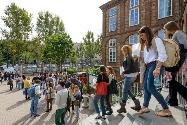 Bachelor in Management (BSc) after diploma