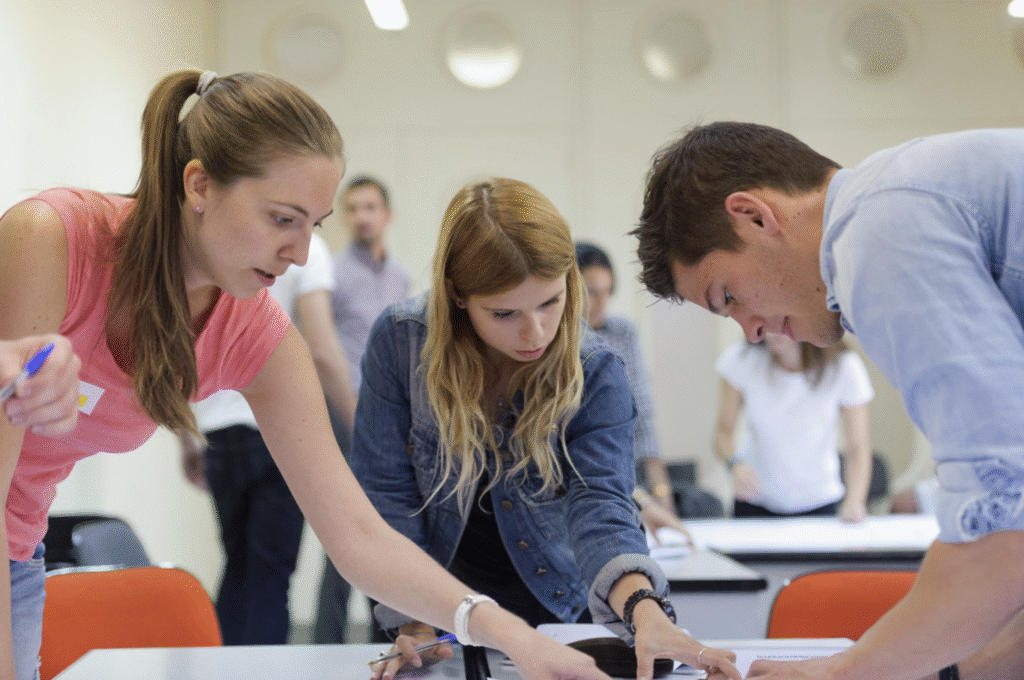 Bachelor in Management (BSc) Theory and practice