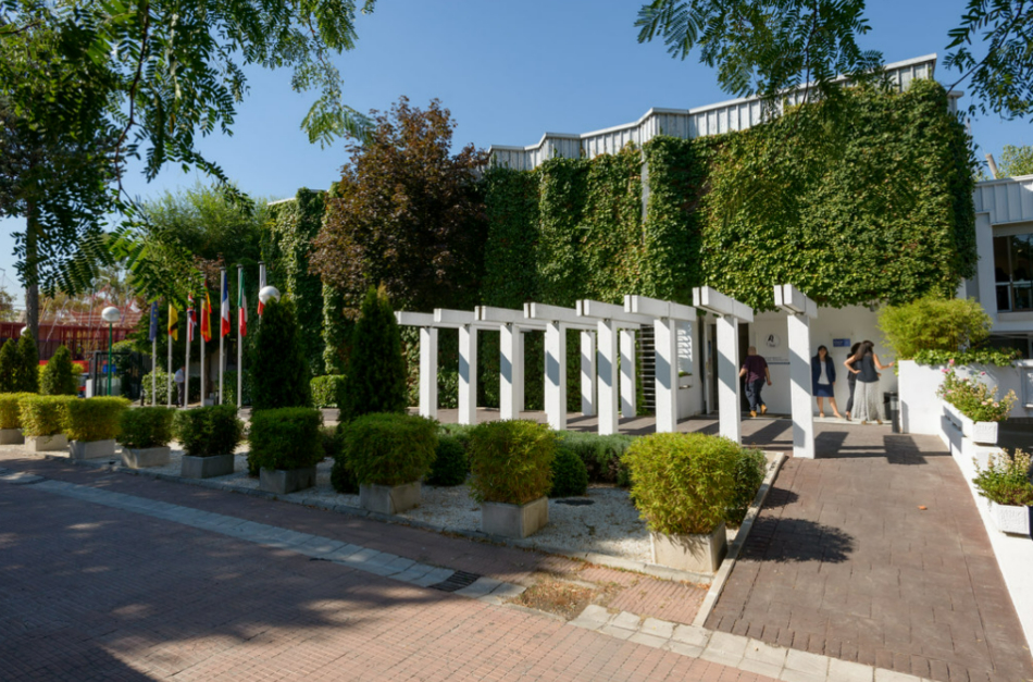 ESCP Madrid Campus Bachelor in Management (BSc)
