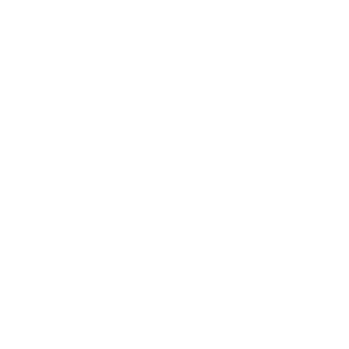 Bin Logo