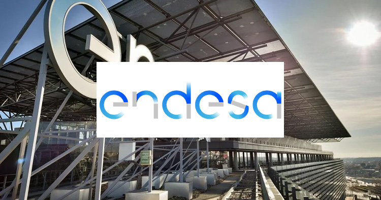 ESCP Madrid Partners,  Endesa