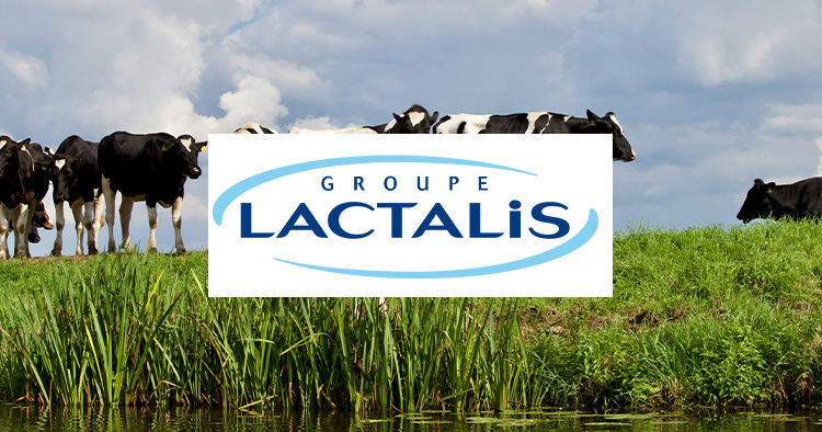 ESCP Madrid Partners, Grupo Lactalis 