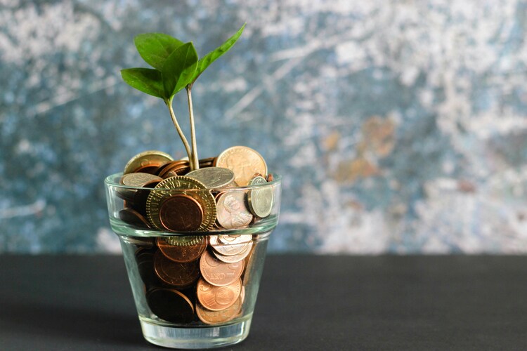 Bank capital and RoE: erroneous beliefs and financial instability