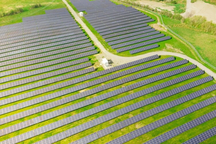 Total, tout blanc, tout noir ou tout vert ?