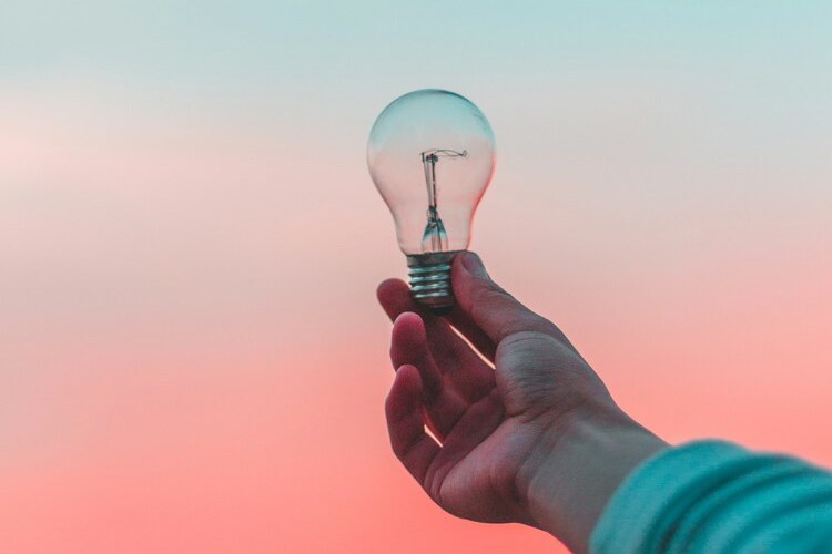 Beyond entrepreneurial chaos: Establishing company principles through the plasticity method