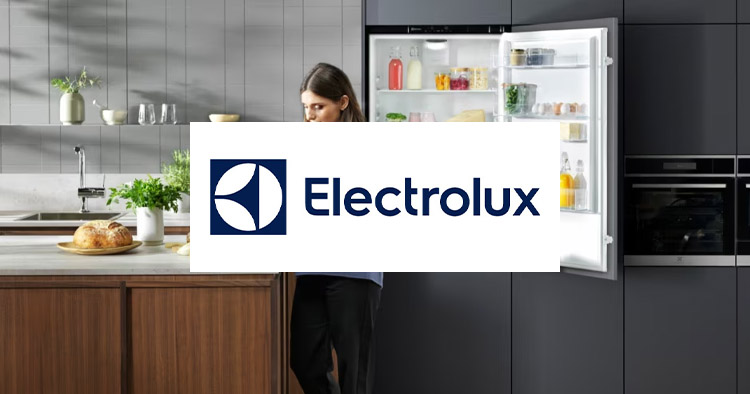 ESCP Turin Partners, Electrolux, logotype