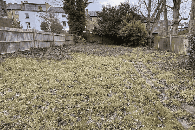 The garden before work