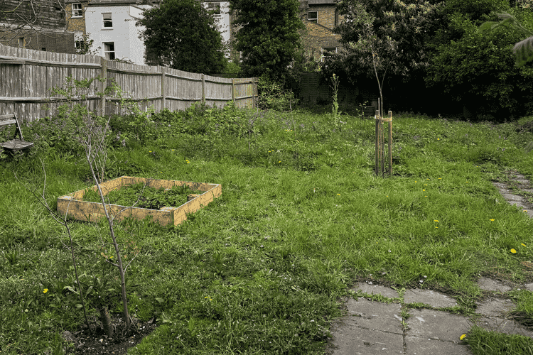 The garden after work