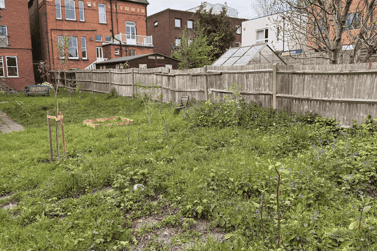 The garden after work