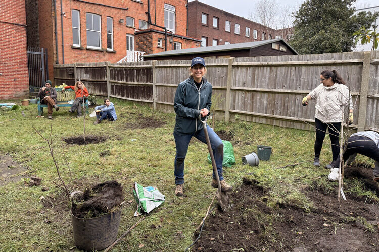 Work in the garden