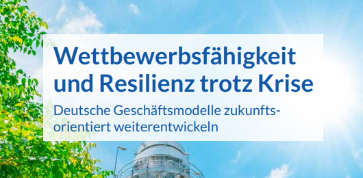 Competitiveness & Resilience
                                            Despite the Crisis