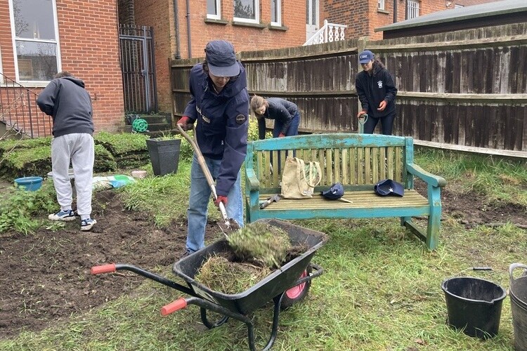 Work in the garden