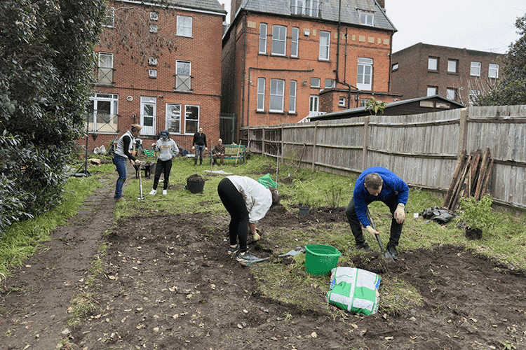 Work in the garden