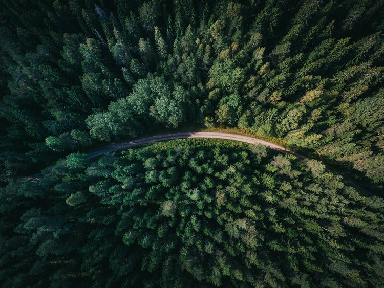 Sustainability engrained
