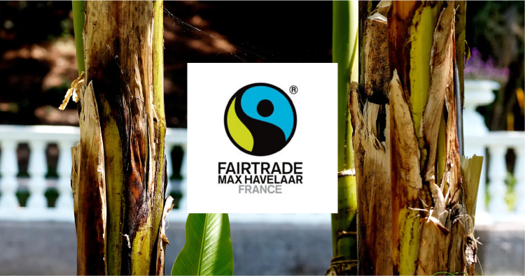 ESCP Sustainability Partners, Max Havelaar France (Fairtrade) 