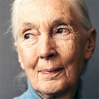 Dr Jane Goodall