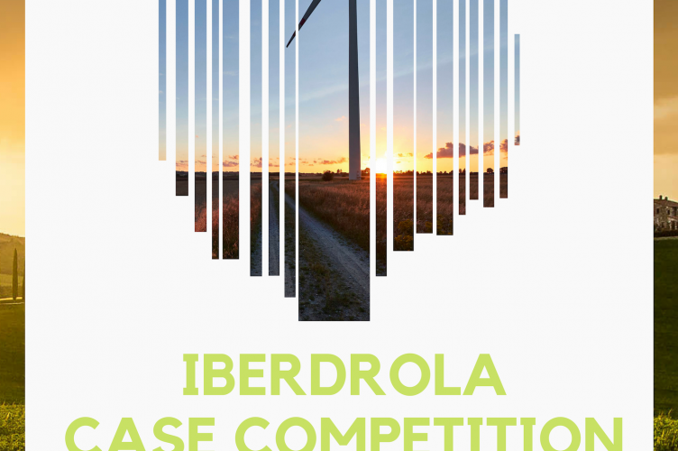 Young Leadership Forum 2019: International Iberdrola Case Competition