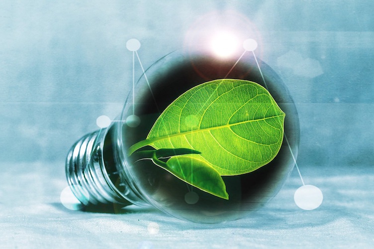 Photo of lightbulb with green leaf