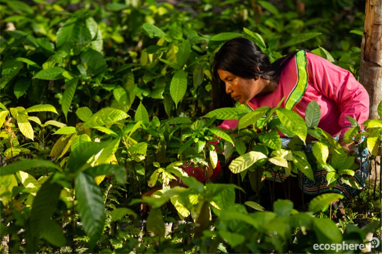 © Ecosphere [copyright]