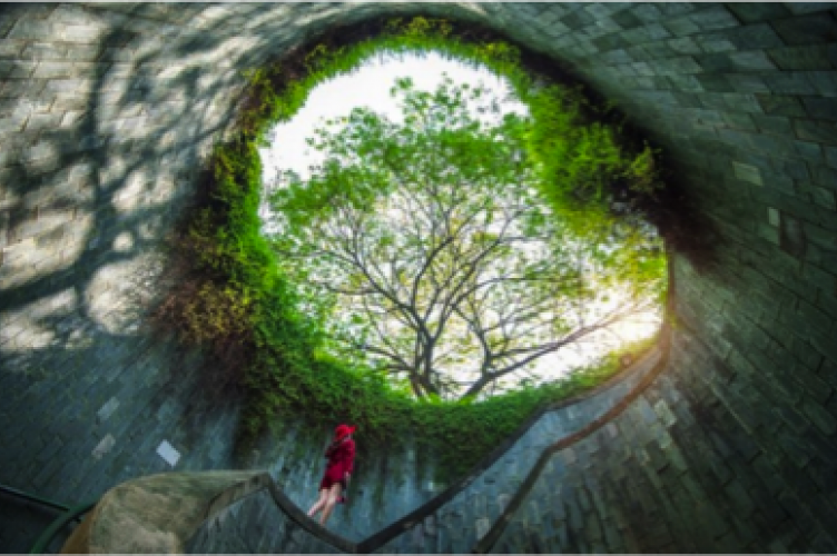 CHAIRE ECONOMIE CIRCULAIRE