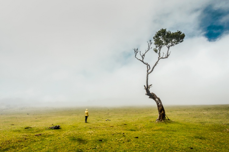 L'humain seul face à la nature