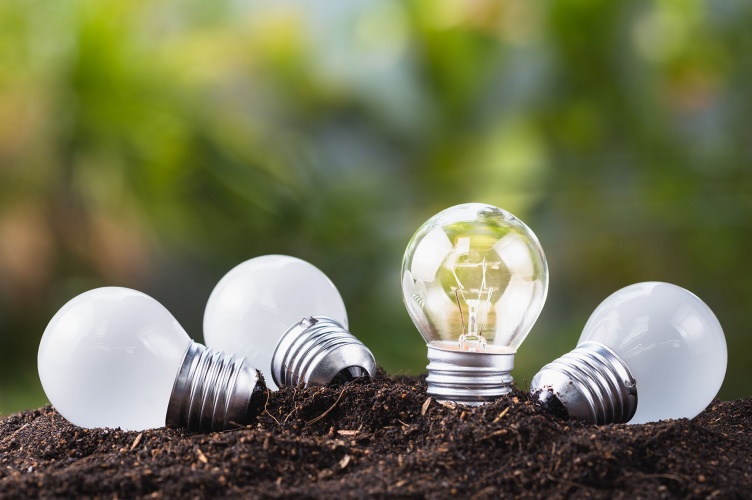 © Adobe Stock - patpitchaya [copyright]