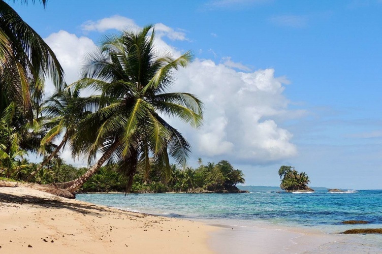 © Unsplash/Camilo Pinaud [copyright]