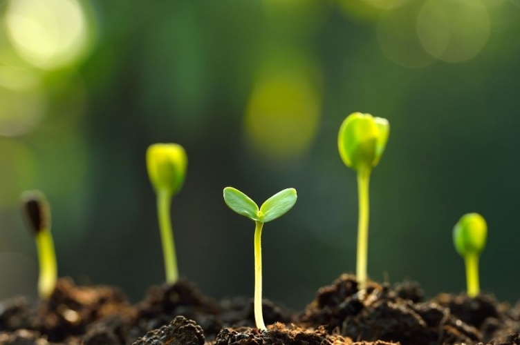 ESCP Green Hackathon: shaping a more Sustainable Future 