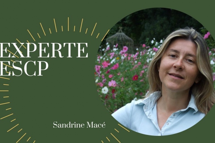 © Monde des Grandes Ecoles [copyright]