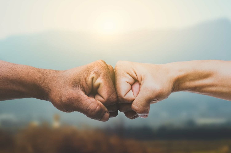 © Adobe Stock - worawut [copyright]