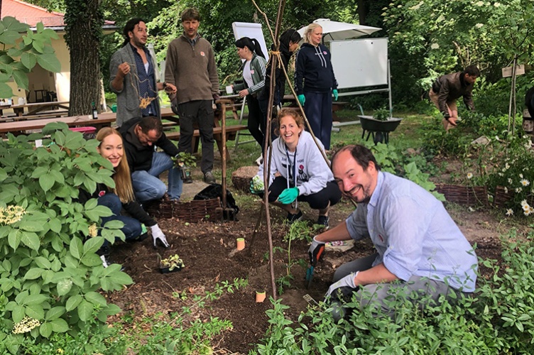 Le jardin en permaculture du campus de Berlin.