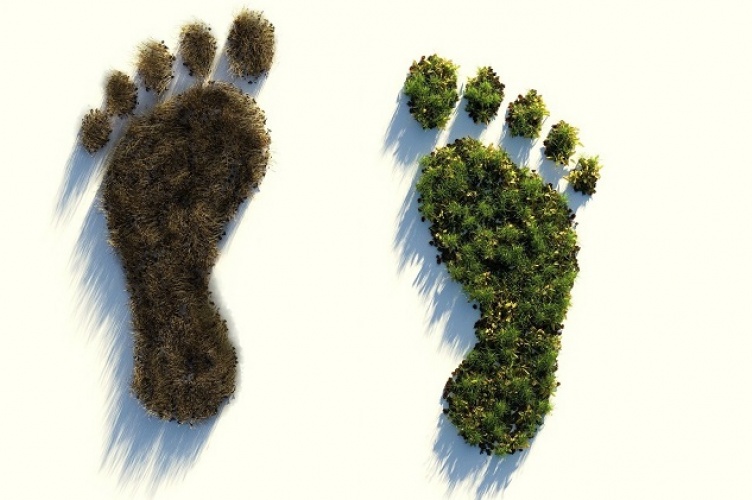 Ecological footprint