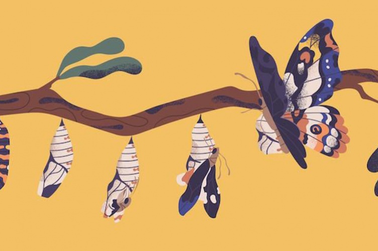 © Colloques de Cerisy [copyright]