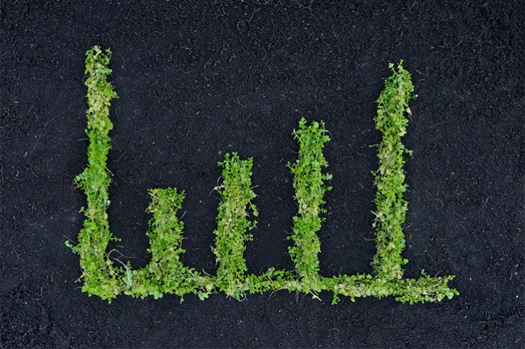 © weerapat1003 - AdobeStock [copyright]