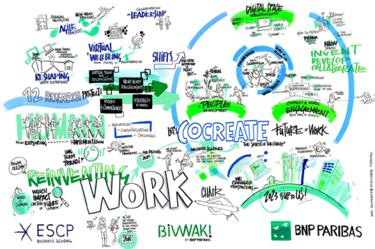 copyright Frédéric Debailleul