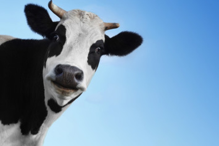 © Dudarev Mikhail - AdobeStock [copyright]