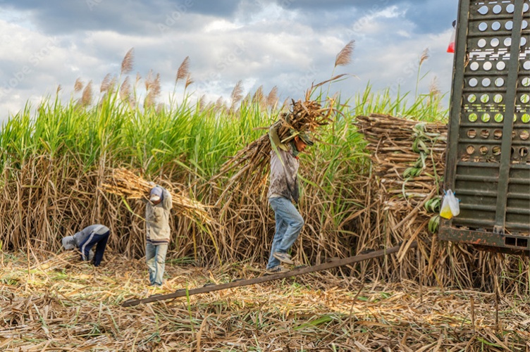 © Hien Phung - AdobeStock [copyright]