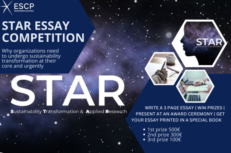 essay competition flyer
