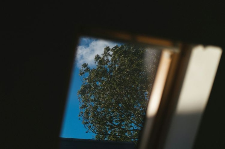 The Academic Director maps the future of sustainable business in a recent Bertelsmann study