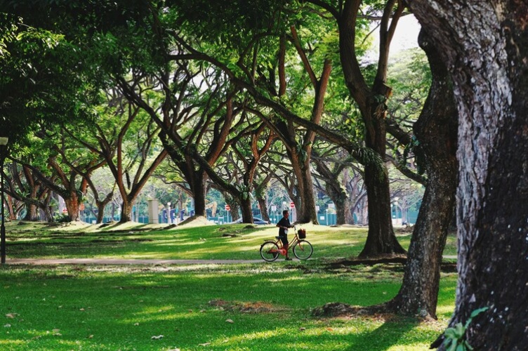 Sustainability Across Europe: What Students Can Learn from Six Cities