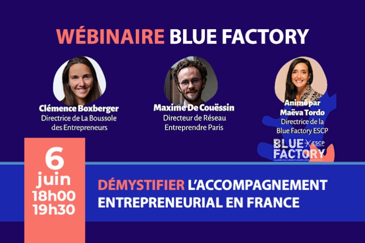 Webinaire Blue Factory - Démystifier l'accompagnement entrepreneurial en France