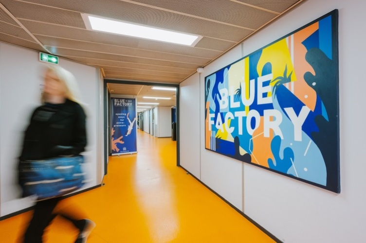 The Blue Factory