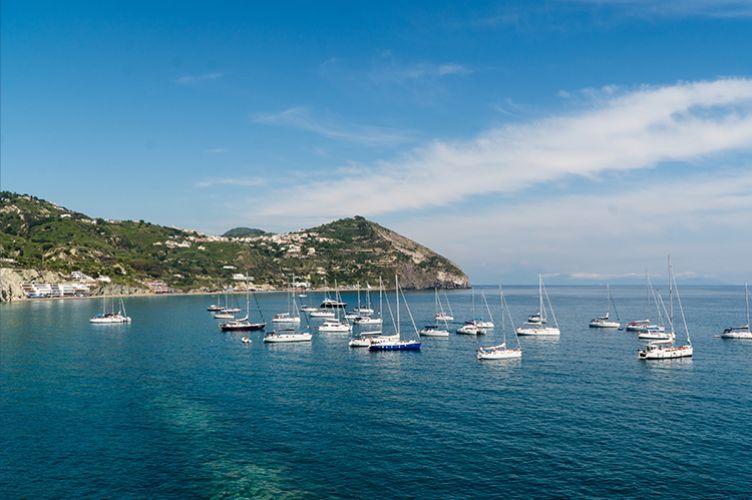 The most exclusive sporting event of the world’s oldest Business School