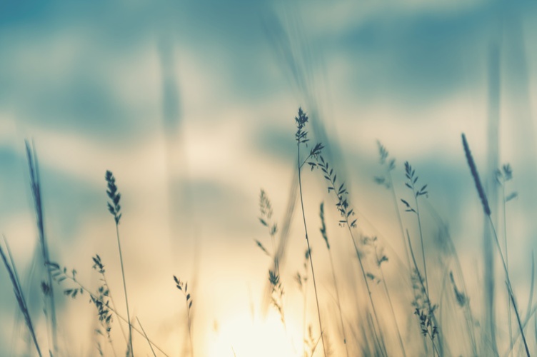 ESCP et la formation continue consacrée à la transition écologique