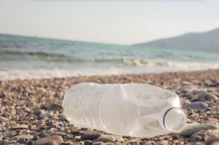 Circular Economy Chair students projects