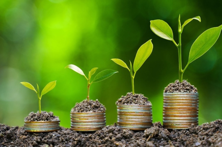 cover picture of the chair