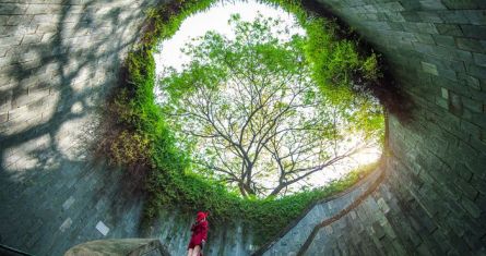 Circular Economy Chair