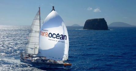 Rencontre avec Etienne Bourgois, Directeur Général d’Agnès B. et Président de la Fondation Tara Océan