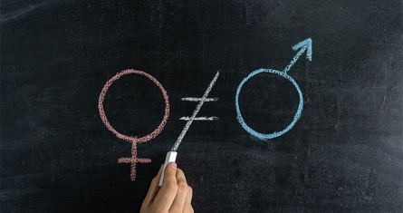 © Adobe Stock - Larisa [copyright]