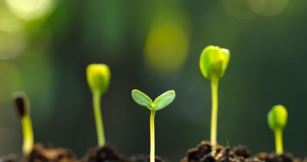 ESCP Green Hackathon: shaping a more Sustainable Future 